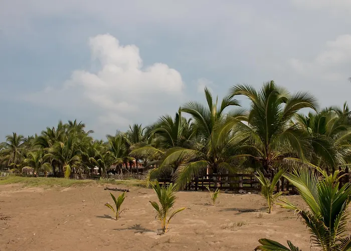Punta Blanca Hotel Zihuatanejo