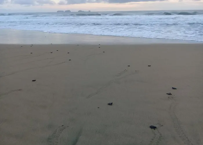 Punta Blanca 4* Zihuatanejo